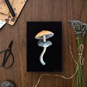 Dramatic wall art print featuring psilocybe cubensis mushroom. Gift for mushroom lover.