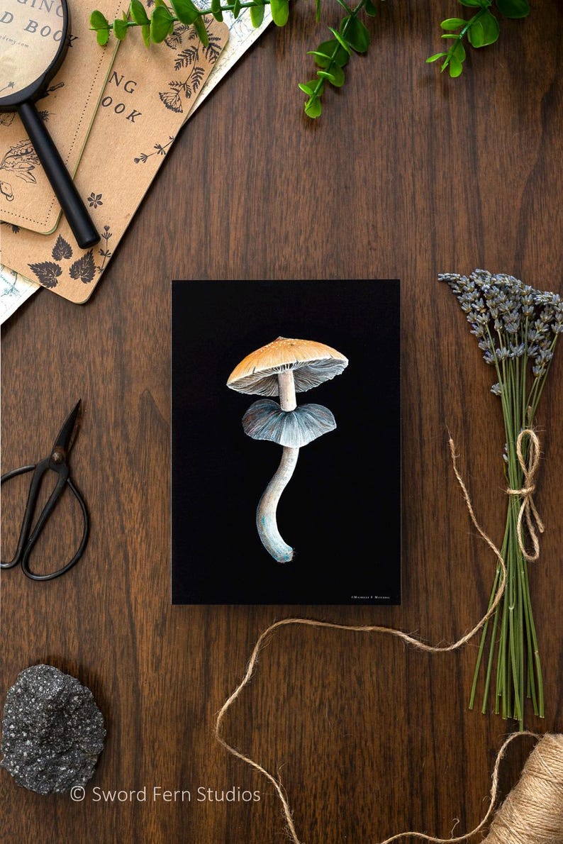 Dramatic wall art print featuring psilocybe cubensis mushroom. Gift for mushroom lover.