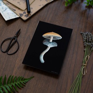 Dramatic wall art print featuring psilocybe cubensis mushroom. Gift for mushroom lover.