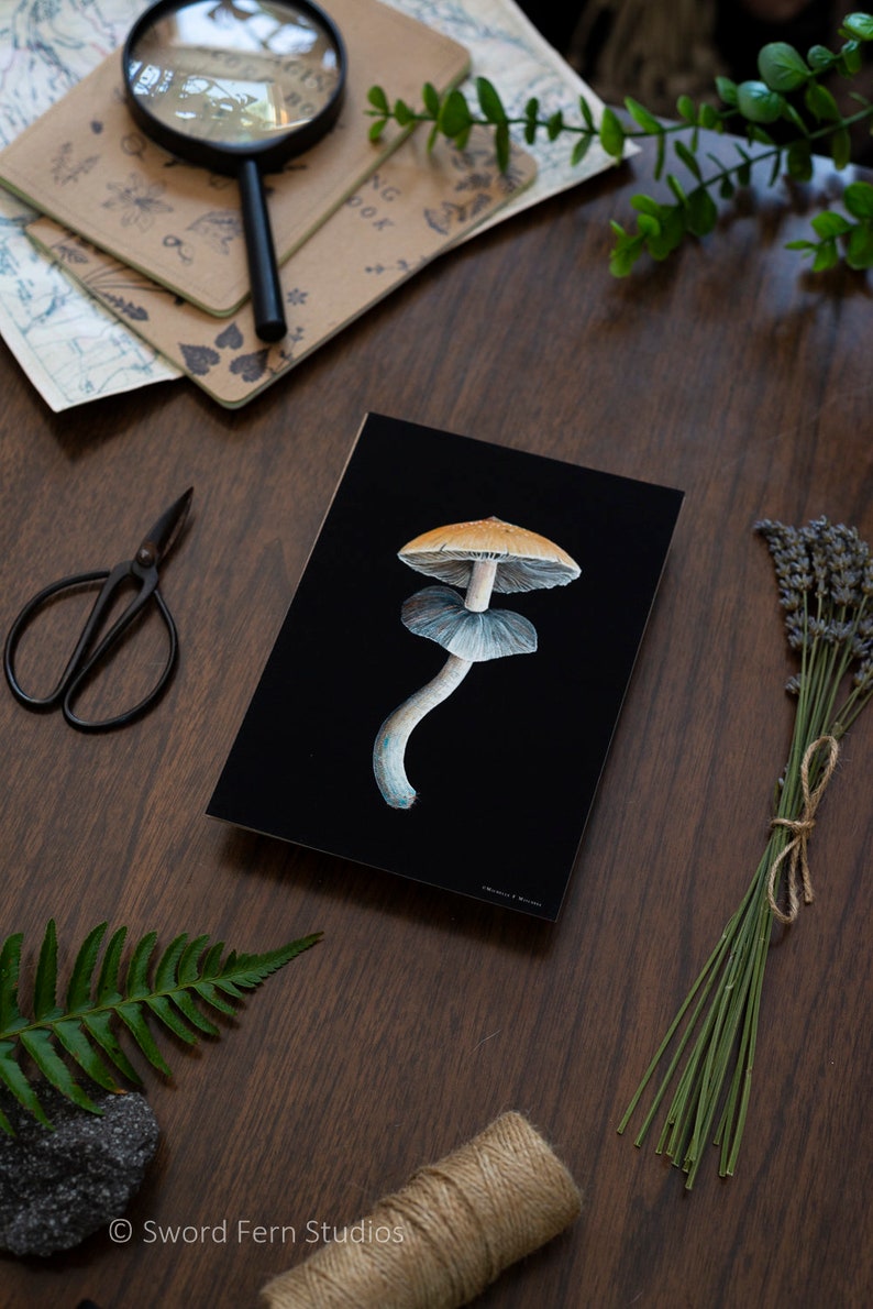 Dramatic wall art print featuring psilocybe cubensis mushroom. Gift for mushroom lover.