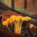 Inhaber:in von <a href='https://www.etsy.com/de/shop/SwordFernStudios?ref=l2-about-shopname&from_page=listing' class='wt-text-link'>SwordFernStudios</a>