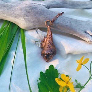Könnte beinhalten: Kupferfarbene Anhängerkette mit Muscheldesign und klarem Quarz-Kristall. Die Kette hängt an einer zarten Kette. Der Anhänger ist vor einem natürlichen Hintergrund mit Grün und gelben Blumen platziert.