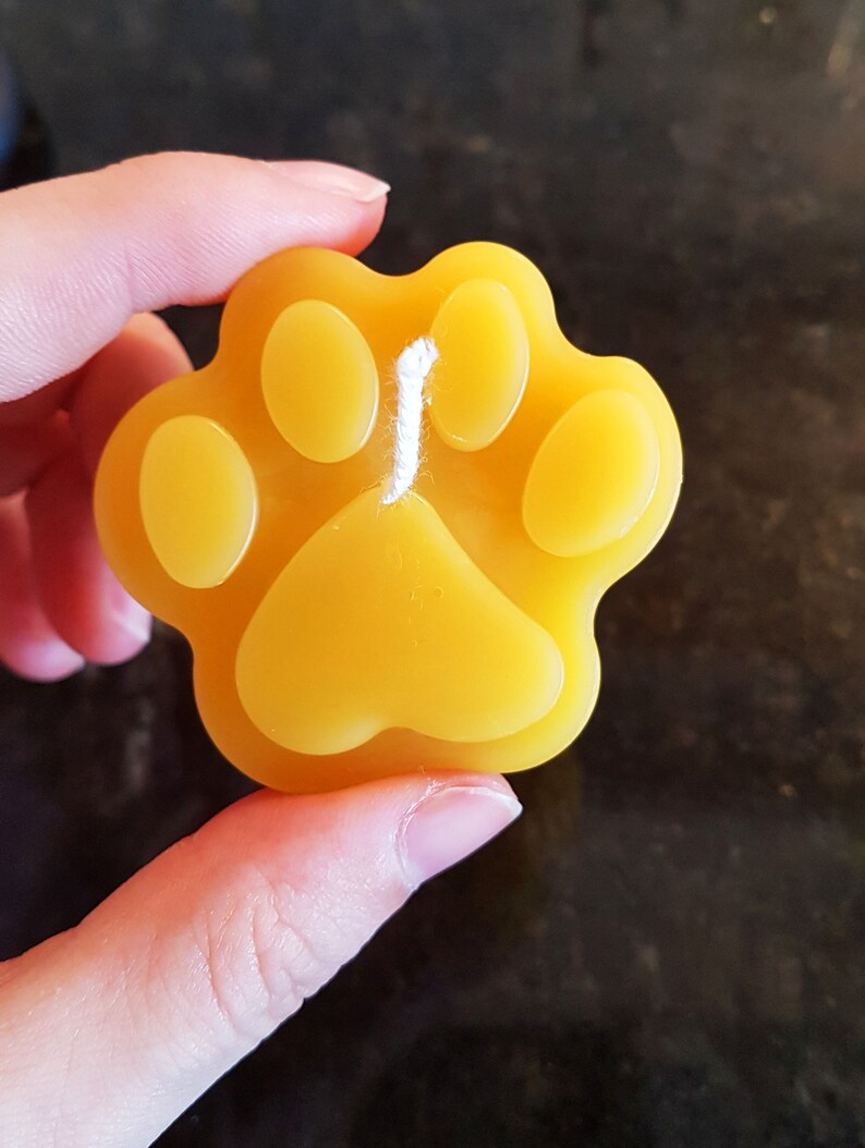 Paw Print Beeswax candles Set of 2 bulk Candles Natural Etsy
