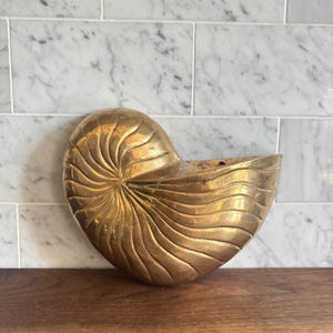 May include: A polished brass wall-mounted planter shaped like a nautilus shell. The object features a spiraling, ribbed texture with a metallic gold finish and a wide, open top section designed for holding items, showcasing a curved, organic form.