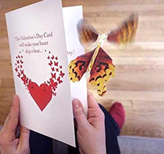 Magic Flying Surprise Butterfly Mariposa Papillon Volant Surprise