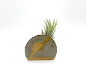 Air Plant Holder, Small, Air Plant Stand, Handmade, Ceramic, Glazed, Pottery (air plant not included)