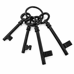 May include: A set of four black metal skeleton keys attached to a circular metal ring. Each key features a round bow, a slender cylindrical shank with decorative ridges, and a distinctively shaped bit at the end for a classic, functional design.