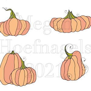 May include: Four hand-drawn illustrations of pumpkins with green stems and swirls. The pumpkins are a light peach colour with black outlines.