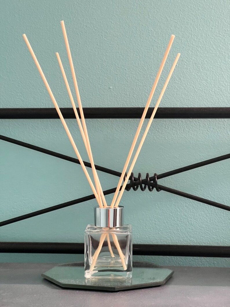 Reed Diffuser nontoxic Etsy