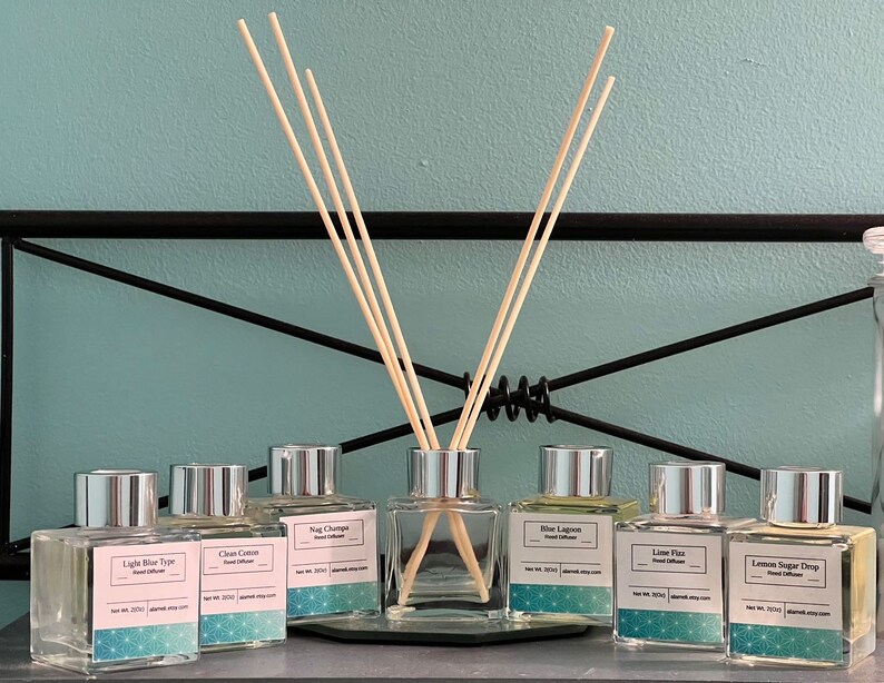 Reed Diffuser nontoxic Etsy
