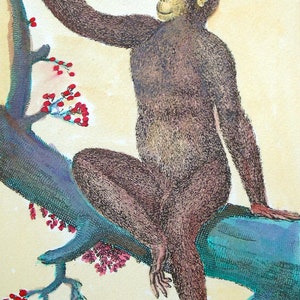 K&ouml;nnte beinhalten: Ein brauner Affe sitzt auf einem Ast mit rosa Bl&uuml;ten. Der Affe greift nach einem Ast mit weiteren rosa Bl&uuml;ten. Der Affe hat ein hellbraunes Fell und ein hellbraunes Gesicht.