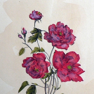 Può includere: Dipinto ad acquerello di vibranti rose rosse e viola con foglie e steli verdi. I fiori sono in piena fioritura, con petali dettagliati e uno stile artistico morbido. Lo sfondo è di colore beige chiaro.