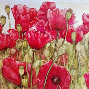 Red poppy. Original watercolor.