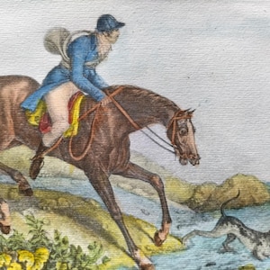 Pode incluir: Um cavalo castanho com um cavaleiro em uma jaqueta azul e calças brancas salta sobre um riacho. Um cão marrom e branco corre na água atrás do cavalo.