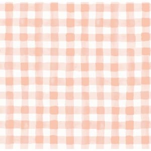 Meadow by Rifle Paper Co for Cotton and Steel Painted Gingham in Blush - Fabric by the Half Yard