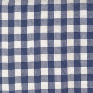 May include: A close-up of a blue and white checkered fabric. The fabric has a classic gingham pattern, with evenly spaced squares of white and a deep blue color. The fabric appears to be cotton or a similar woven material.