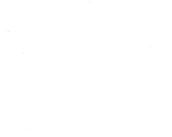 Moda Bella Solid in Off White 9900 200 - Fabric Sold by Half Yard Increments, Cut Continuously
