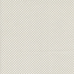 May include: A white background with a subtle pattern of small, gray diamonds.