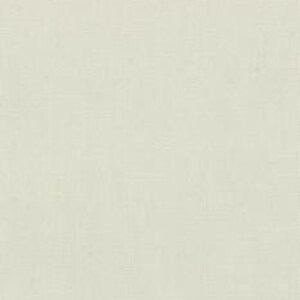 May include: A plain white background.