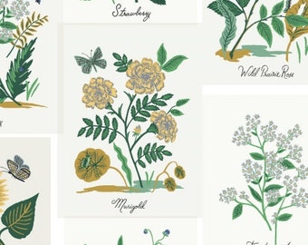 CANVAS - Curio Botanical Prints in Blue Multi by Rifle Paper Co - Fabric Sold by Half Yard Increments, Cut Continuously