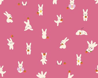 In Stock! Ruby Star Society Persimmon Bun E’s & Simmy in Hibiscus RS1118 15 - Fabric Sold by Half Yard Increments, Cut Continuously