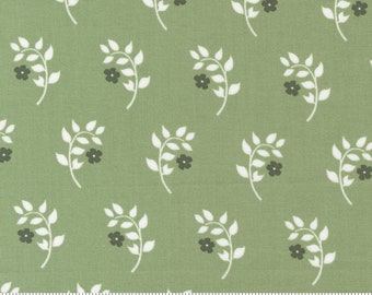 Dwell Homebody in Grass Green por Camille Roskelley para Moda 55271 17 - Tela vendida por incrementos de medio patio, cortada continuamente