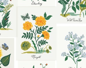 CANVAS - Curio Botanical Prints in Pink Multi by Rifle Paper Co - Fabric Sold by Half Yard Increments, Cut Continuously