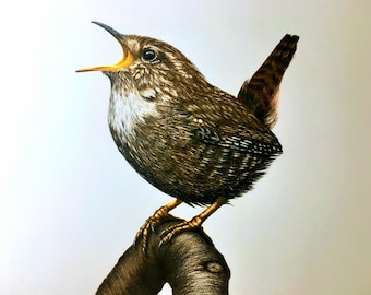 Original drawings with colored pencils by me