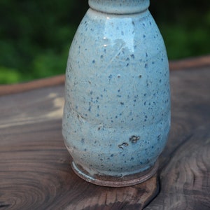 Speckled Blue Vase