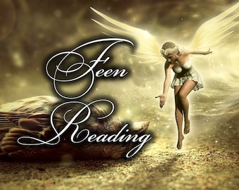 Fairy Reading