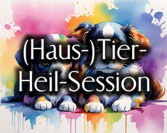 Tier Heil-Session (Fernsitzung)