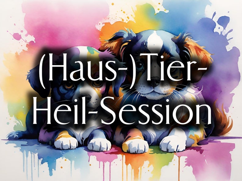 Tier Heil-Session Fernsitzung Bild 1