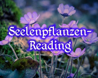 Seelenpflanzen-Reading