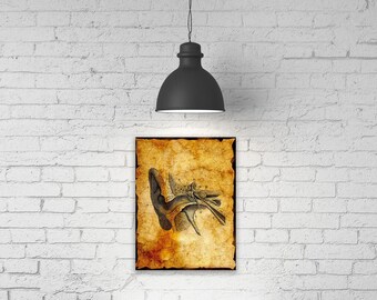 Vintage Inner Ear Illustration, Anatomy Theme Ear Nose Throat, Inner Ear Anatomy for Doctor Clinic Wall Art, Gallery Wrapped Canvas Print