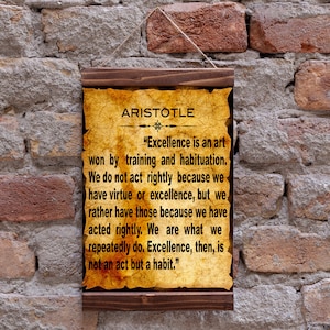 Aristotle Excellence Quote School Poster Classroom Wall Art Wood Framed Canvas Print