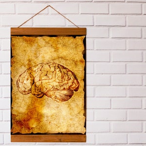 Vintage Human Brain Illustration Wood Framed Canvas Print, Anatomie Thème Wall Art Decor pour Cabinet de Neurologie , Docteur Idée Cadeau