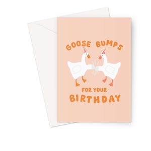 Gänsehaut Zum Geburtstag A5 Grußkarte Fan Liebe Geschenk Lustig Spiel Meme Gamer Horrible Goose Gänse Paare Freund Dummes süßes Wortspiel