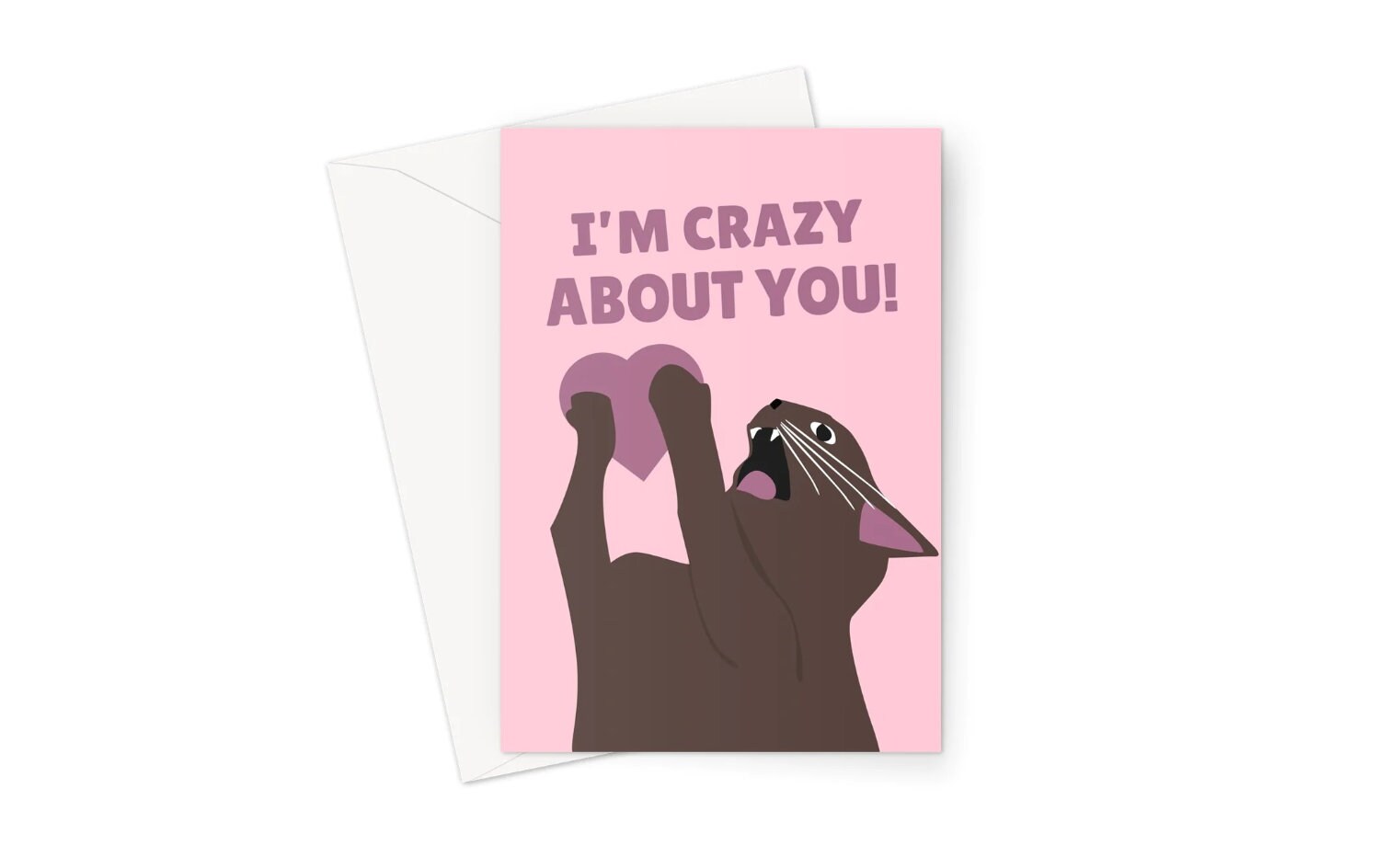 I'm Crazy About You A5 Greeting Card Anniversary Birthday Screaming Cat Funny Meme Social Media Yelling Cute