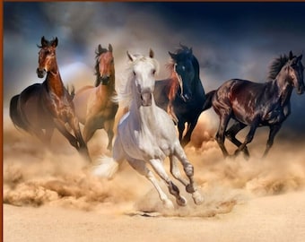 May include: Five horses running in a dusty field. The horses are brown, white, and black. The sky is cloudy and the sun is shining.