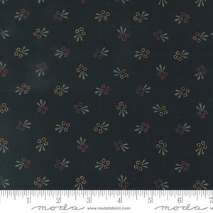 Daisy Lane - 9761 19- &quot;Black Florals&quot; - by Kansas Troubles Quilters for Moda