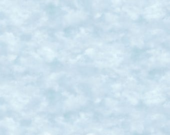 Bear Necessities - 28631  42 - "Blue Sky" - by Deborah Edwards for Northcott Fabric