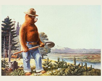 Friends of Smokey Bear - by Riley Blake - P16507Poster