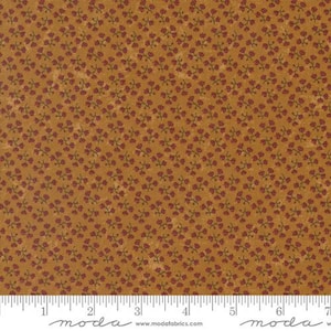 Chickadee Landing - &quot;Sunflower &quot; - 9743 12 - by Kansas Troubles Quilters for Moda