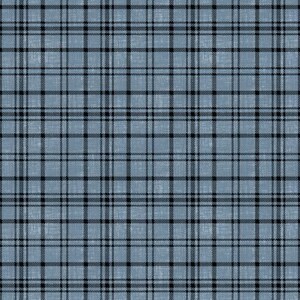 May include: A textile fabric featuring a classic plaid pattern with a dusty blue base color and intersecting thin black lines. The design creates a repeating grid of squares across the surface, showcasing a woven texture with a matte finish.
