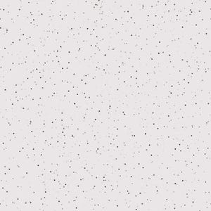 May include: A white background with a subtle, random pattern of small black dots.