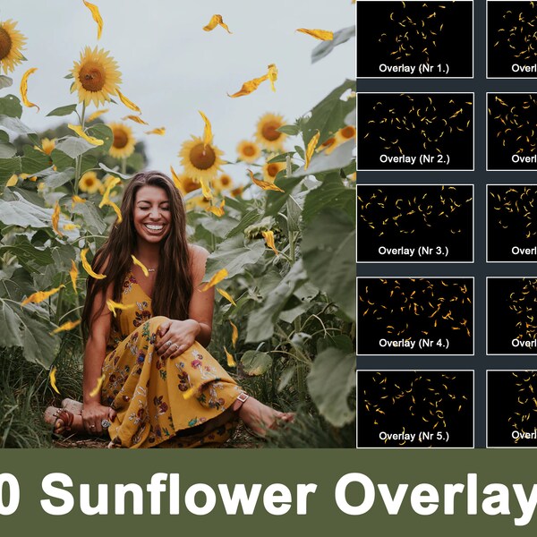 10 Sunflower Overlays, Falling Petal Overlay, Spring Overlay, Summer Overlay, Flower Field Overlay, Photo Overlays, Wildflowers Overlay, PNG