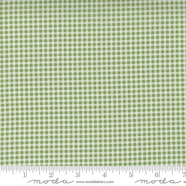 Picture Perfect Gingham Green 21807 15 by American Jane for Moda Fabrics