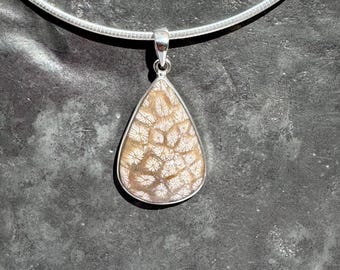 Fossil Coral Pendant - English coral pendant