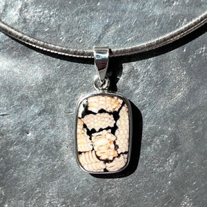 Snake skin stone pendant - Snake skin jasper pendant - fossil wrasse pendant