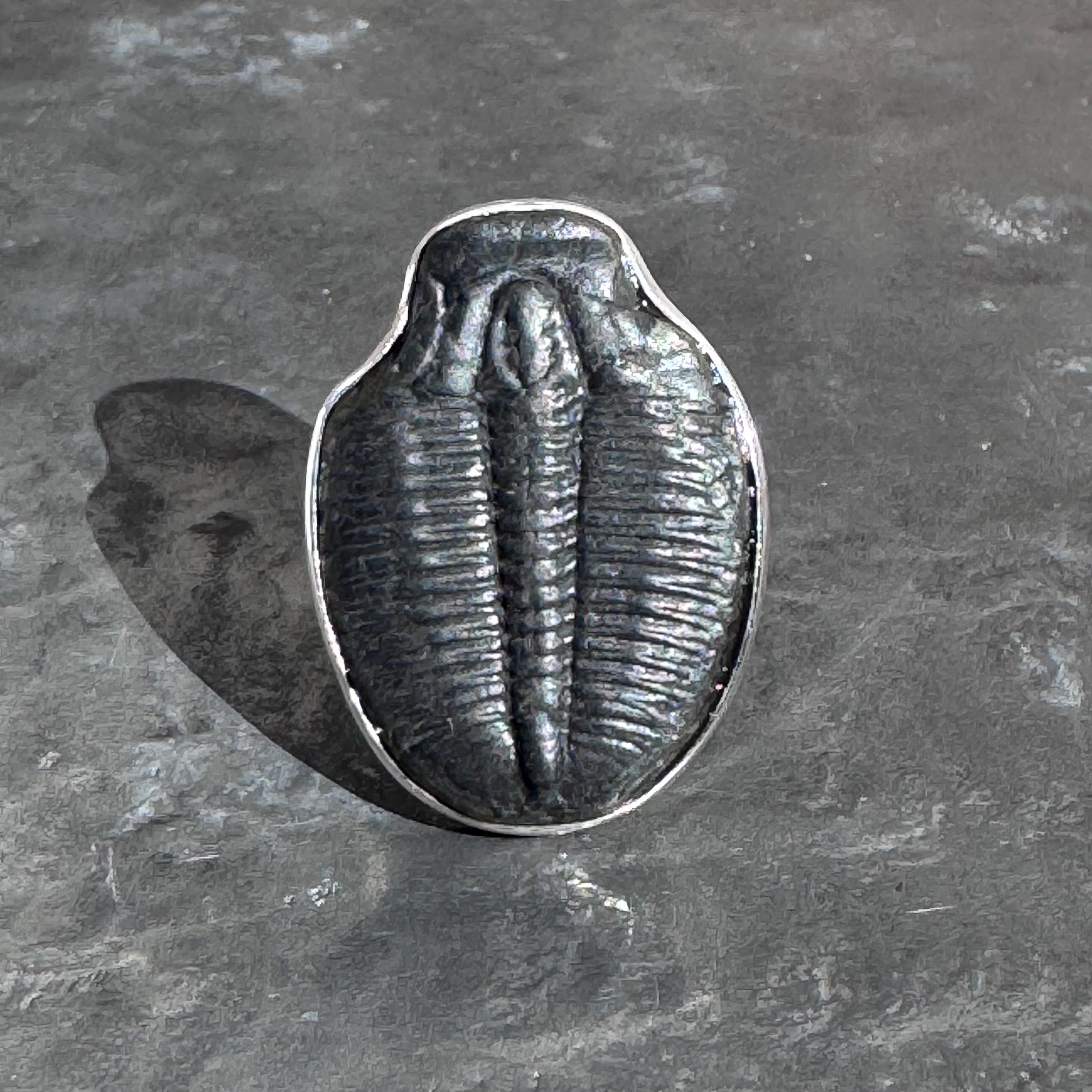 Trilobite - Trilobite ring - silver trilobite ring - silver fossil ring size UK - Q, US - 8 1/2, EU - 57